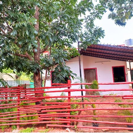 Golden Magnolia Homestay バンガロール エクステリア 写真